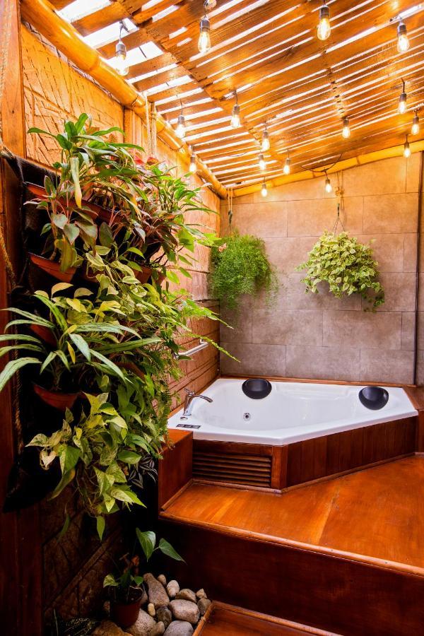 Casa Suculenta ,Monteverde Con Jacuzzi Privado Y Lavanderia Exteriör bild