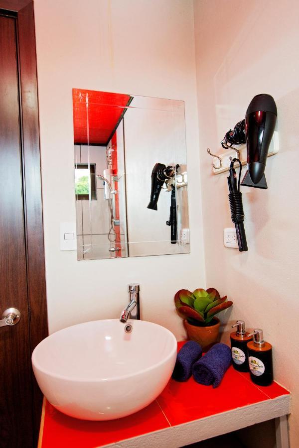 Casa Suculenta ,Monteverde Con Jacuzzi Privado Y Lavanderia Exteriör bild
